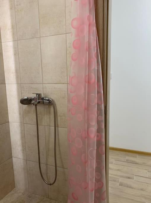 Rowing Base Apartment Plovdiv Ngoại thất bức ảnh